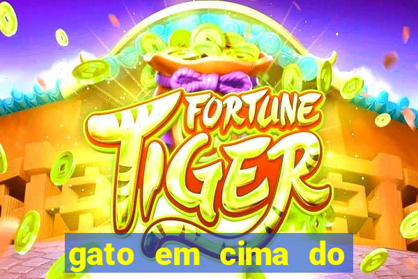 gato em cima do telhado significado espiritual